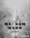 隋末：从反贼到文皇帝章节列表