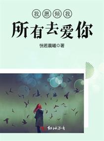 我愿倾我所有去爱你章节列表