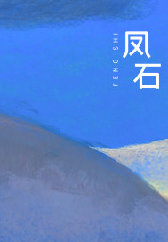 凤石章节列表