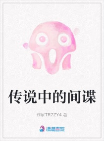 传说中的间谍章节列表