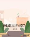 向流星祈祷？章节列表