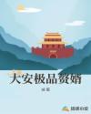 大安极品赘婿章节列表