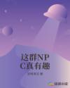这群NPC真有趣章节列表