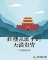 红楼从庶子到天潢贵胄章节列表