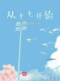 从十七开始章节列表