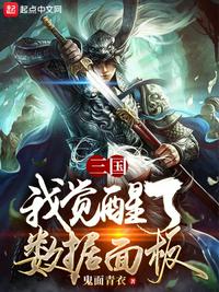 三国：我觉醒了数据面板章节列表