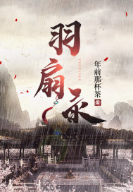 羽扇录章节列表