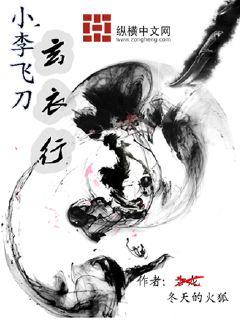 小李飞刀玄衣行章节列表