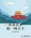 从布衣开始一统天下章节列表