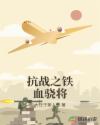 抗战之铁血骁将章节列表