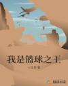 我是篮球之王章节列表