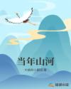 当年山河章节列表
