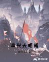 再兴大明朝章节列表