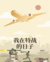 我在特战的日子章节列表
