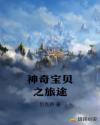 神奇宝贝之旅途章节列表