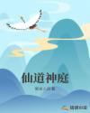 仙道神庭章节列表