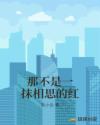那不是一抹相思的红章节列表