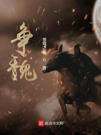 争魏章节列表