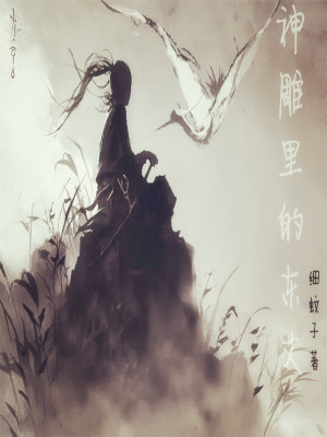 神雕里的东丈章节列表