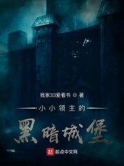 小小领主的黑暗城堡章节列表