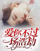爱你不过一场浩劫章节列表