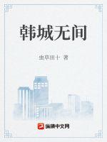 韩城无间章节列表