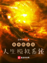 斑爷的次元人生模拟系统章节列表