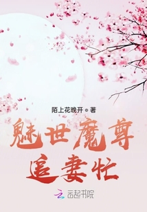 魅世魔尊追妻忙章节列表