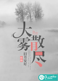大雾散尽章节列表