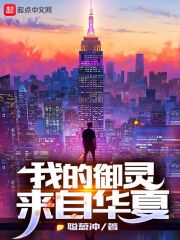 我的御灵来自华夏章节列表