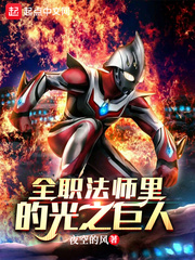 全职法师里的光之巨人章节列表
