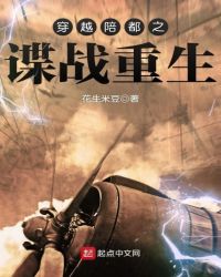 穿越陪都之谍战重生章节列表