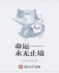 命运——永无止境章节列表