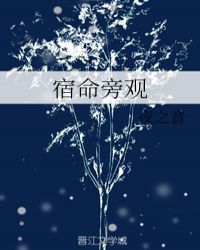 宿命旁观章节列表