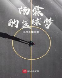 杨霖的篮球梦章节列表