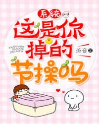 系统，这是你掉的节操吗章节列表