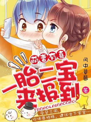 一胎二宝来报到章节列表