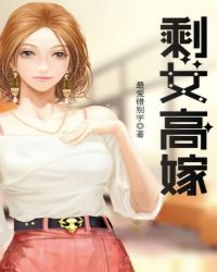 剩女高嫁章节列表