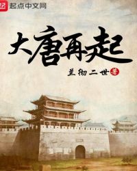 大唐再起章节列表