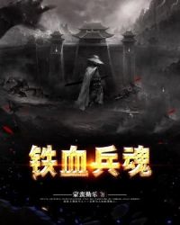 铁血兵魂章节列表