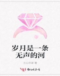 岁月是一条无声的河章节列表