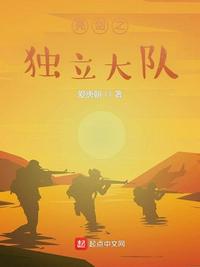 亮剑之独立大队章节列表