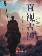 直视古神一整年章节列表