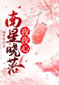 南星晓落夜夜心章节列表