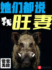 她们都说我旺妻章节列表