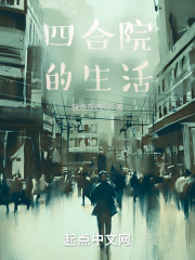 四合院的生活章节列表