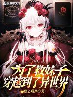 为了救妹子穿越到了异世界章节列表