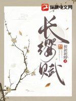 长缨赋章节列表