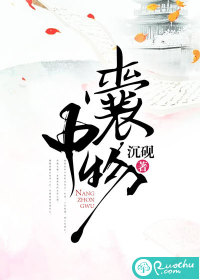 囊中物章节列表