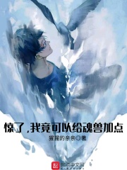 惊了，我竟可以给魂兽加点章节列表